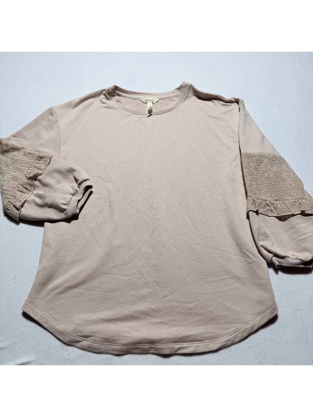 Anthropologie Blush Pink Sweatshirt with Eyelet Lace Sleeves
